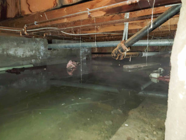Sewage cleanup and water damage restoration in OH
