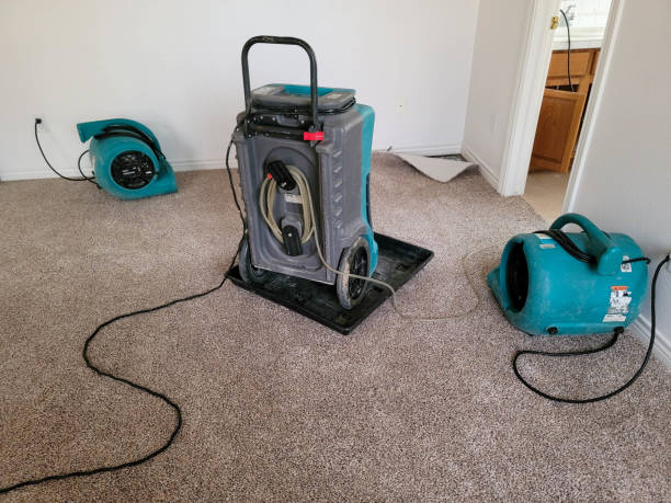 Best Residential water damage restoration  in Garfield Heights, OH
