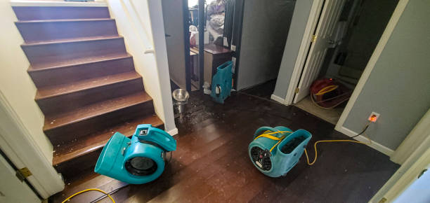 Best Carpet water damage restoration  in Garfield Heights, OH