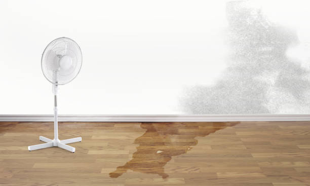 Best Local water damage restoration  in Garfield Heights, OH