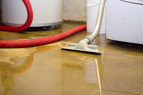 Best Emergency water damage restoration  in Garfield Heights, OH