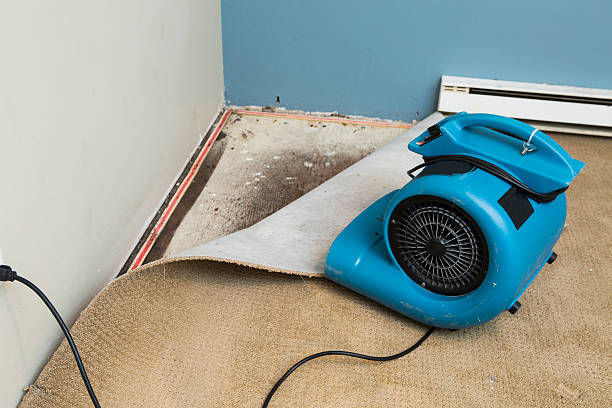 Best Flood damage cleanup  in Garfield Heights, OH